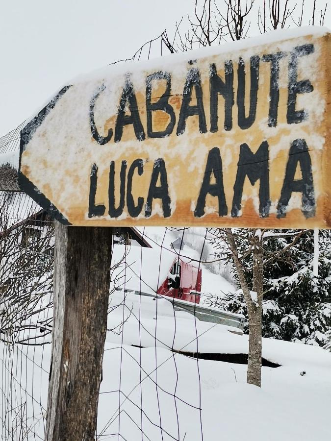 Villa Cabanute Luca Ama Bran à Braşov Extérieur photo