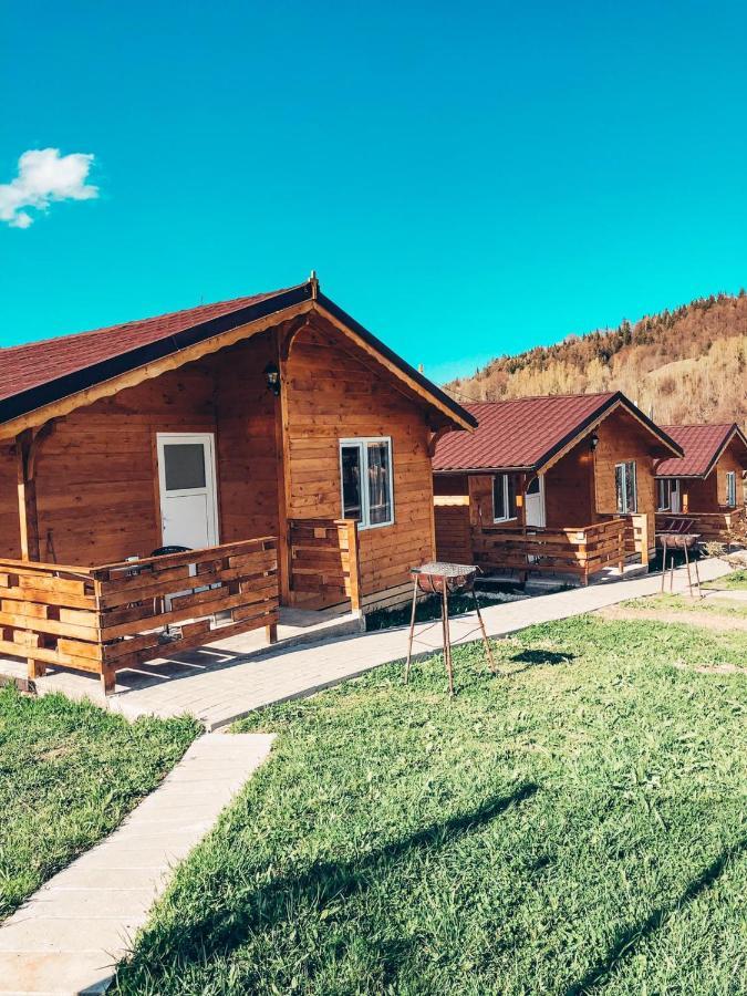 Villa Cabanute Luca Ama Bran à Braşov Extérieur photo