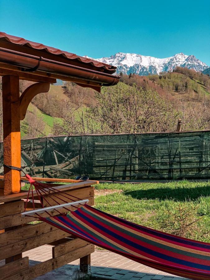 Villa Cabanute Luca Ama Bran à Braşov Extérieur photo